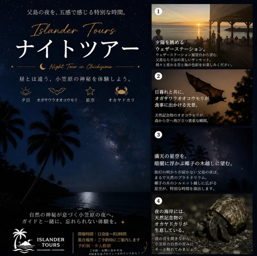 ナイトツアーのイメージ